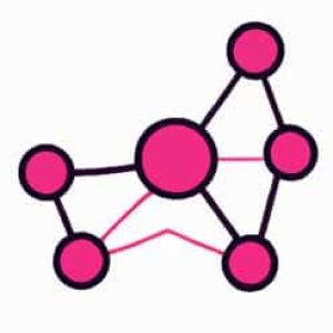 icon 1